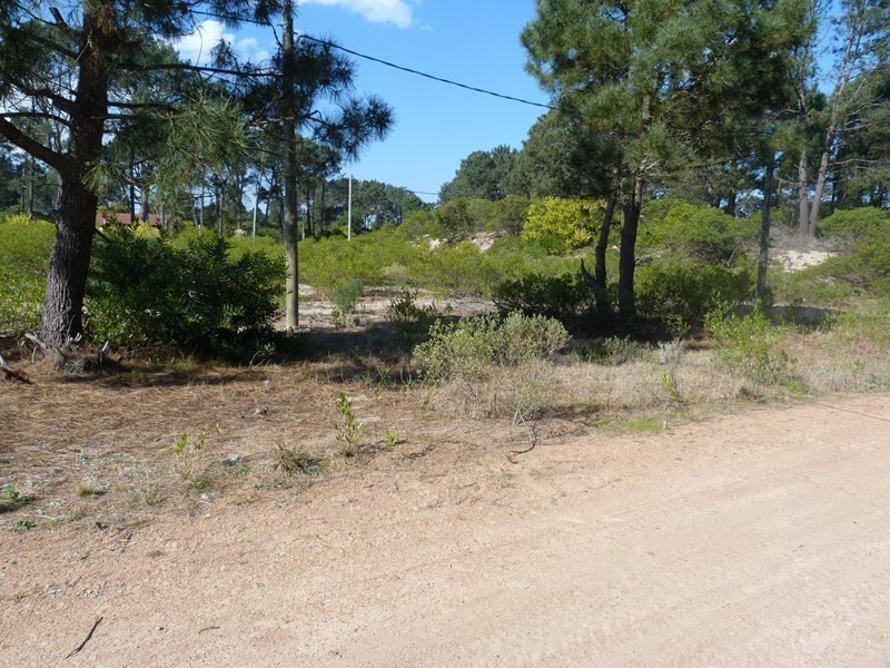 Dos lindos terrenos  a solo 100 metros de la avenida y 300 metros de la playa